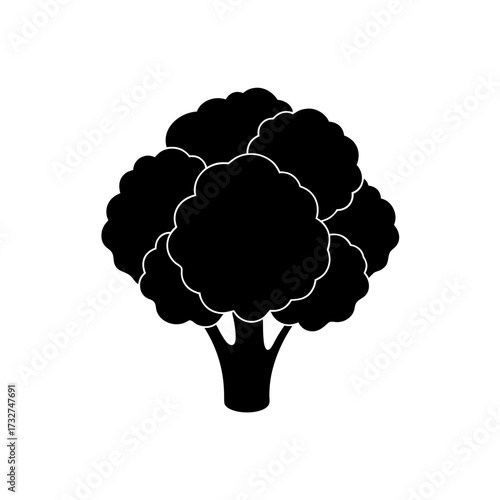 cauliflower icon black silhouette vector illustration on transparent background