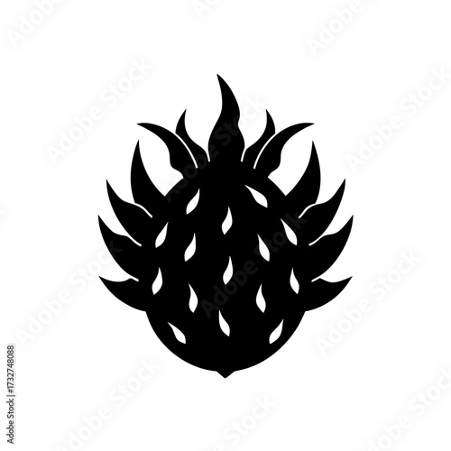 dragon fruit icon black silhouette vector illustration on transparent background