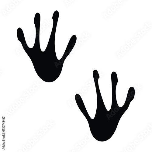 Two animal footprints in black silhouette isolated on white background image