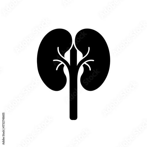 kidney icon icon black silhouette vector illustration on transparent background