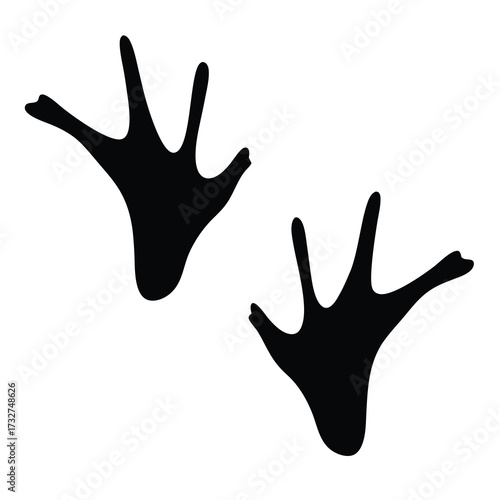 Two distinct black bird footprints on a clean white background image