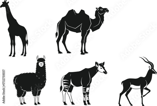Silhouettes of diverse exotic animals including a giraffe, camel, llama, okapi, and gazelle, isolated on white, for wildlife and nature themes