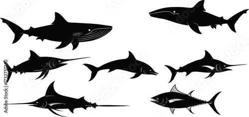 Silhouettes of diverse marine animals including a whale, shark, dolphin, marlin, and tuna, for an aquatic, ocean, and wildlife concept, black and white