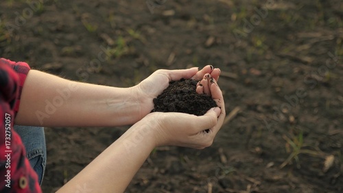 Fotografía The hands of a peasant woman hold a handful of fertile soil with their bare hands, a view from above