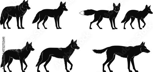 Silhouettes of diverse wild canine animals including wolves, coyotes, and foxes in various poses, for a wildlife and nature concept, in black and white