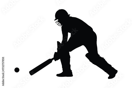 Silhouette of a cricket player batting in action