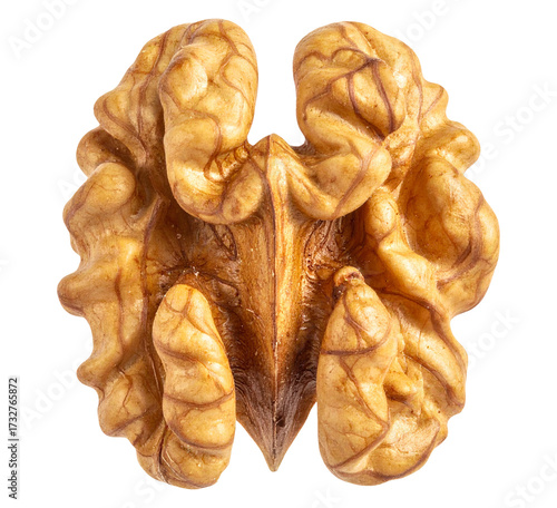walnut isolated object