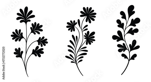 Elegant Floral Silhouette Set for Design Elements and Decoration Purposes