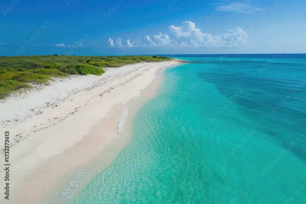 Obraz premium Pristine tropical beach with white sand, crystal-clear turquoise ocean, and lush green coastal vegetation under a bright blue sky with clouds.