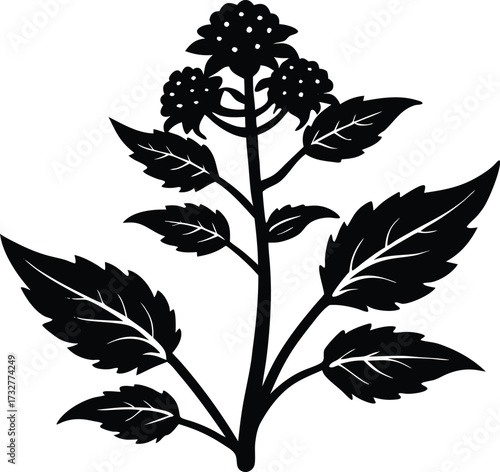 Medicinal Plant Silhouette | Herbal Nature Vector Graphic