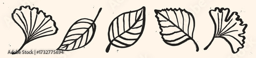 Textured Hand-painted leaves in ink and chalk are black on a light background. Sketch of a autumn plant with a brush. Sketch hand drawn wild spring floral elements. 