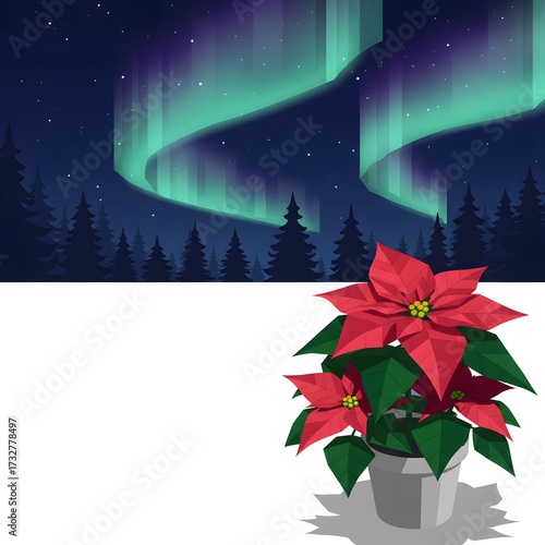 Christmas poinsettia plant in front of northern lights background  