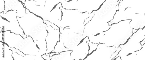 Vector Black and white grunge distress overlay texture dust and rou vector..