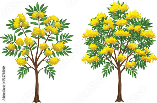Tree illustration comparing sparse and dense yellow-flowered foliage for botanical, seasonal, decorative, and educational nature-themed design applications.