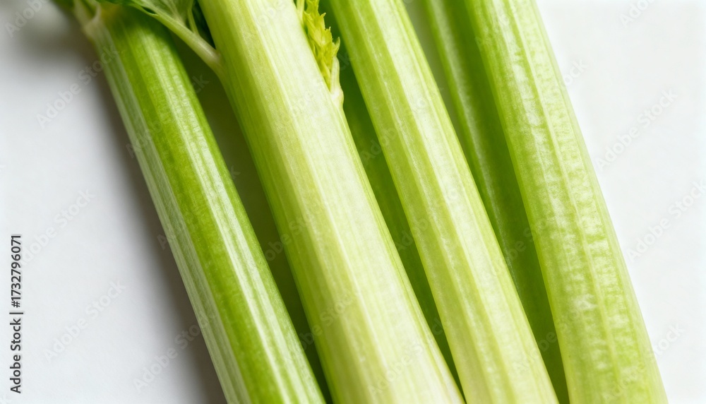 Obraz premium Minimalist close-up of fresh celery stalks on white background