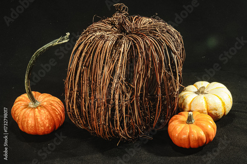 Front view, medium distance of, a brown twig pumpkin, two small orange and one white pumpkin with black background