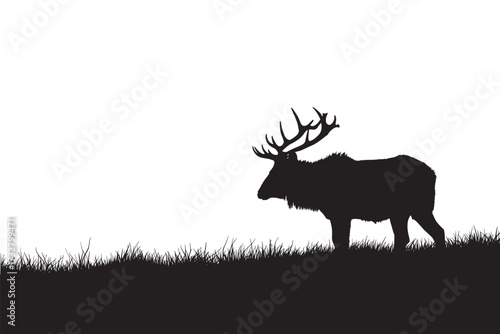 wild animal silhouette 