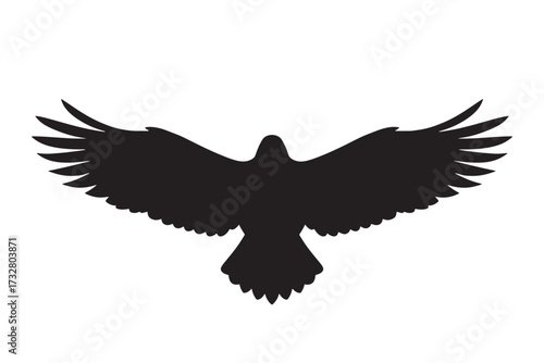 vector birds silhouette