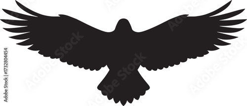 vector birds silhouette