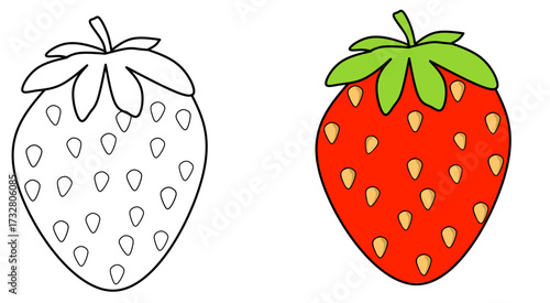 strawberry fruits hand draw vector illustration