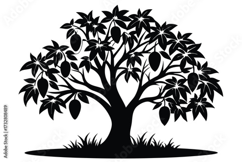 Black silhouette of a leafy mango tree laden with mangoes is set against white