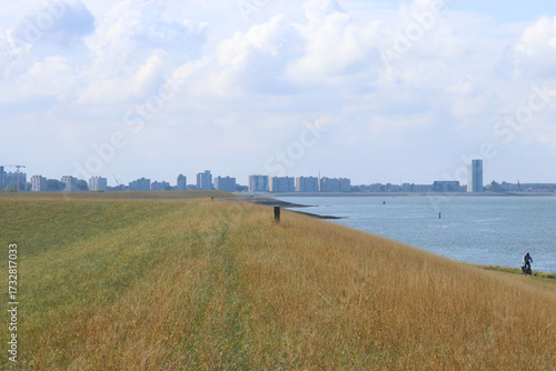 the skyline of port city Terneuzen along the westerschelde sea with the big seawall in front