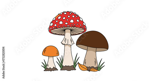A collection of three wild mushrooms in a forest setting.