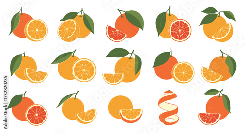 Fresh citrus fruits and their juicy segments displayed with vibrant colors and refreshing appeal.