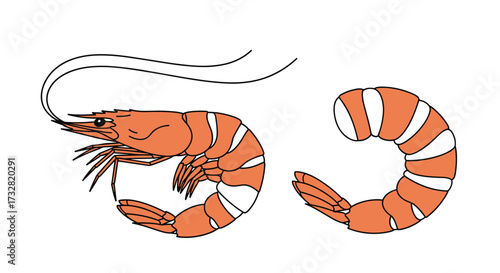 Two delicious looking cooked shrimp presented side by side.