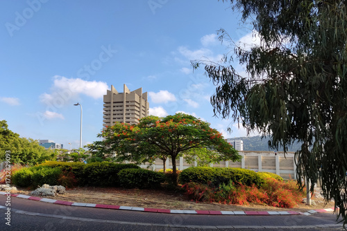 Haifa, Israel, 12 September 2025 Haifa Cityscape next to the station Bat Galim with Flamboyant Tree