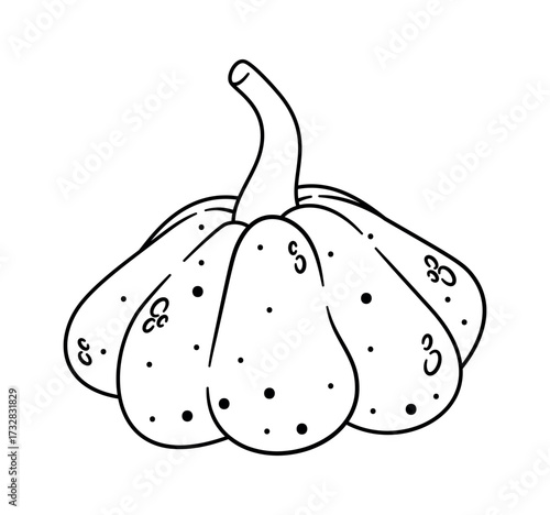 Autumn squash vegetable coloring page