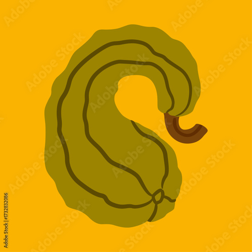Stylized earthy green pumpkin with a curved stem on a warm yellow background. Autumn harvest element, ideal for seasonal design, food themes, Thanksgiving, Halloween, and rustic projects.