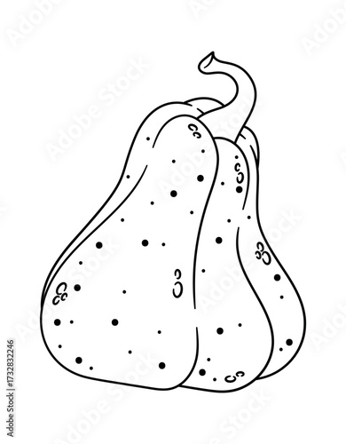 Thanksgiving autumn festive pumpkin vegetable