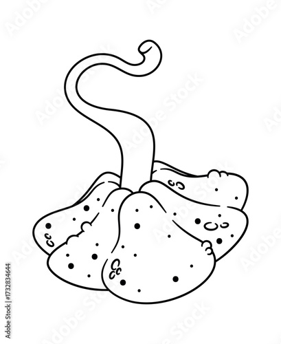 Halloween pumpkin autumn season vegetable