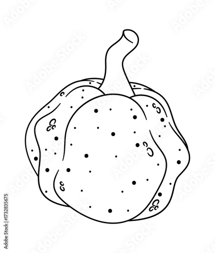 Pumpkin fall season black-and-white vegetable