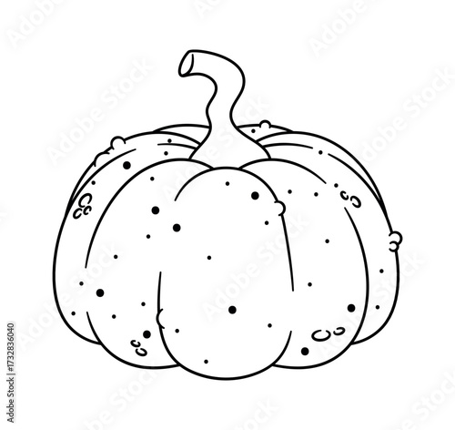 Thanksgiving holiday pumpkin festive vegetable