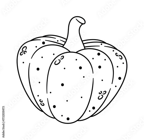 Fall season pumpkin vegetable black-and-white