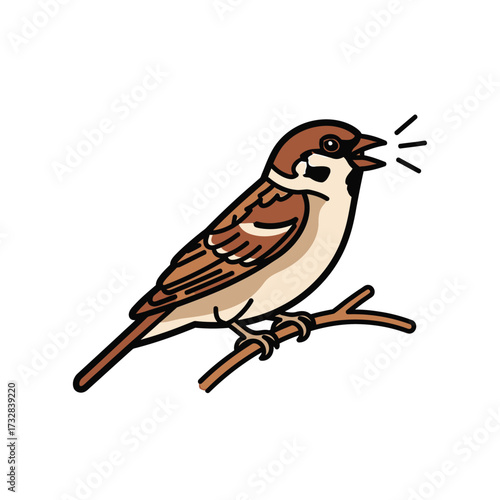 A small brown bird with black markings sits on a twig and sings isolated on white background