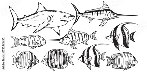Ocean Fish Variety Outlines Shark Marlin Angelfish and More Marine Life Art and Coloring Page Sea Animal Illustration