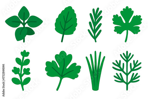 Herb Icon Collection. Flat vector icons of herb garden: basil sprig, mint leaf, rosemary twig, thyme stem, parsley bunch, cilantro
