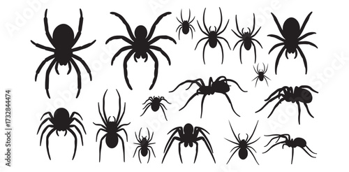 Black Spider Silhouette Collection Spooky Halloween Vector Art Arachnid Graphic Spider Clipart Creepy Design