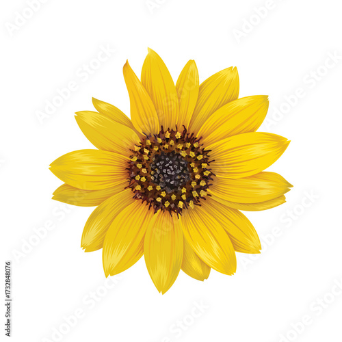 Realistic yellow delta sunflowers illustration isolated on white background