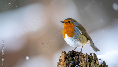 European robin with a red-orange breast perched on a snowy tree stump, surrounded by falling snowflakes and a softly blurred winter landscape.