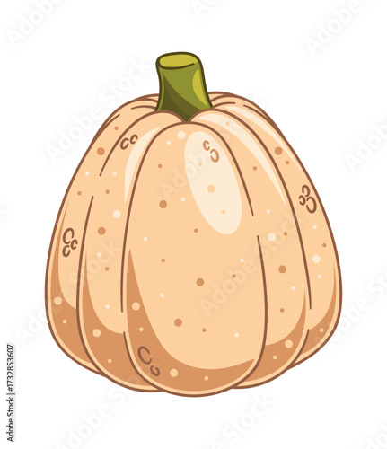Pumpkin autumn seasonal vegetable cartoon