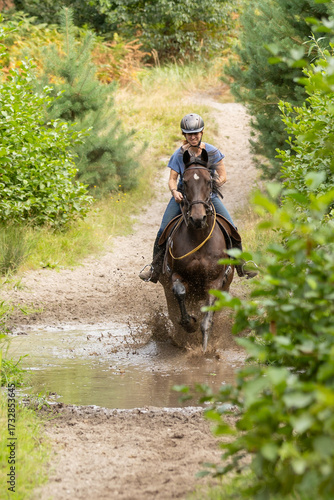 Galoppieren durch das Wasser