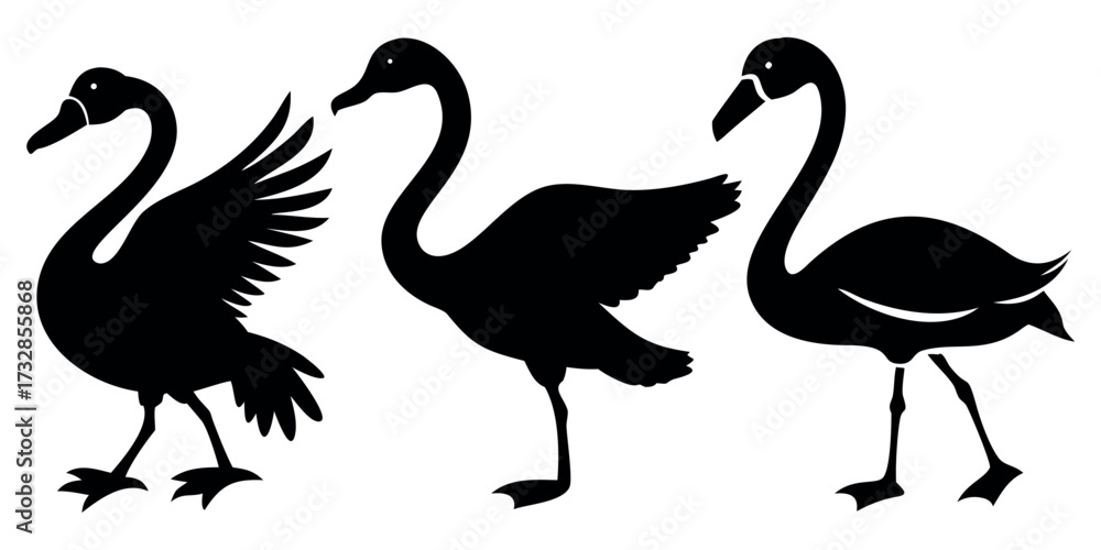Fototapeta premium Vector Silhouette Set of Birds Duck Swan and Flamingo in Distinct Poses