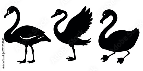 Vector Silhouette Set of Birds Duck Swan and Flamingo in Distinct Poses