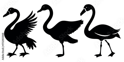 Vector Silhouette Set of Birds Duck Swan and Flamingo in Distinct Poses