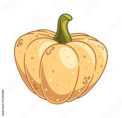 Ripe pumpkin seasonal vegetable cartoon