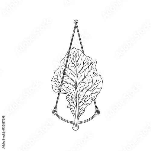A black and white drawing of a leafy vegetable hanging from a rope in a minimalist style illustration